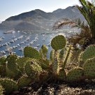Prickly Pear and Avalon Harbor